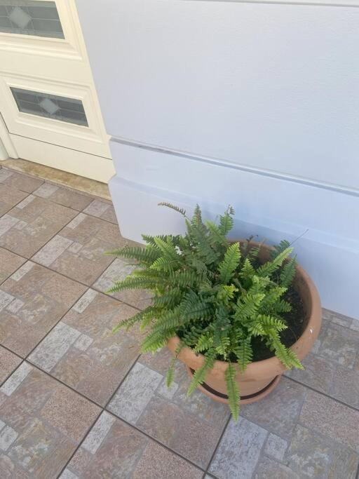 Appartement New Lovely In *
