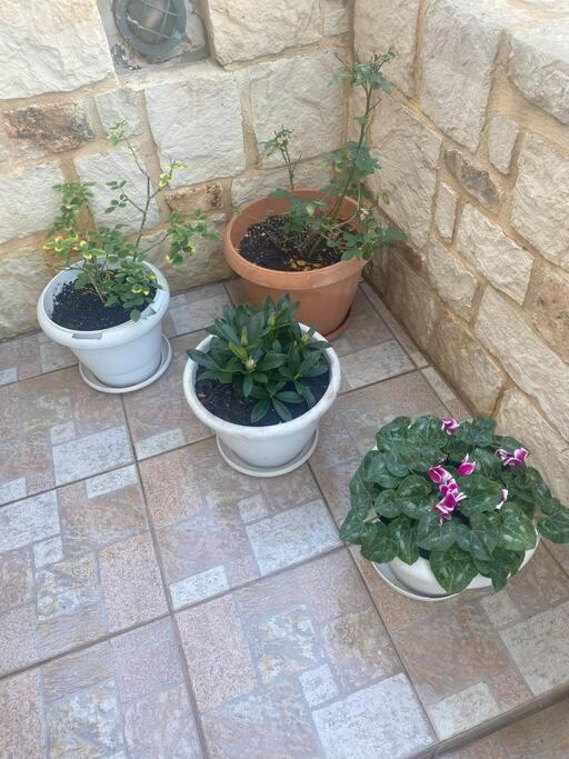New Lovely In * Heraklion (Crete)